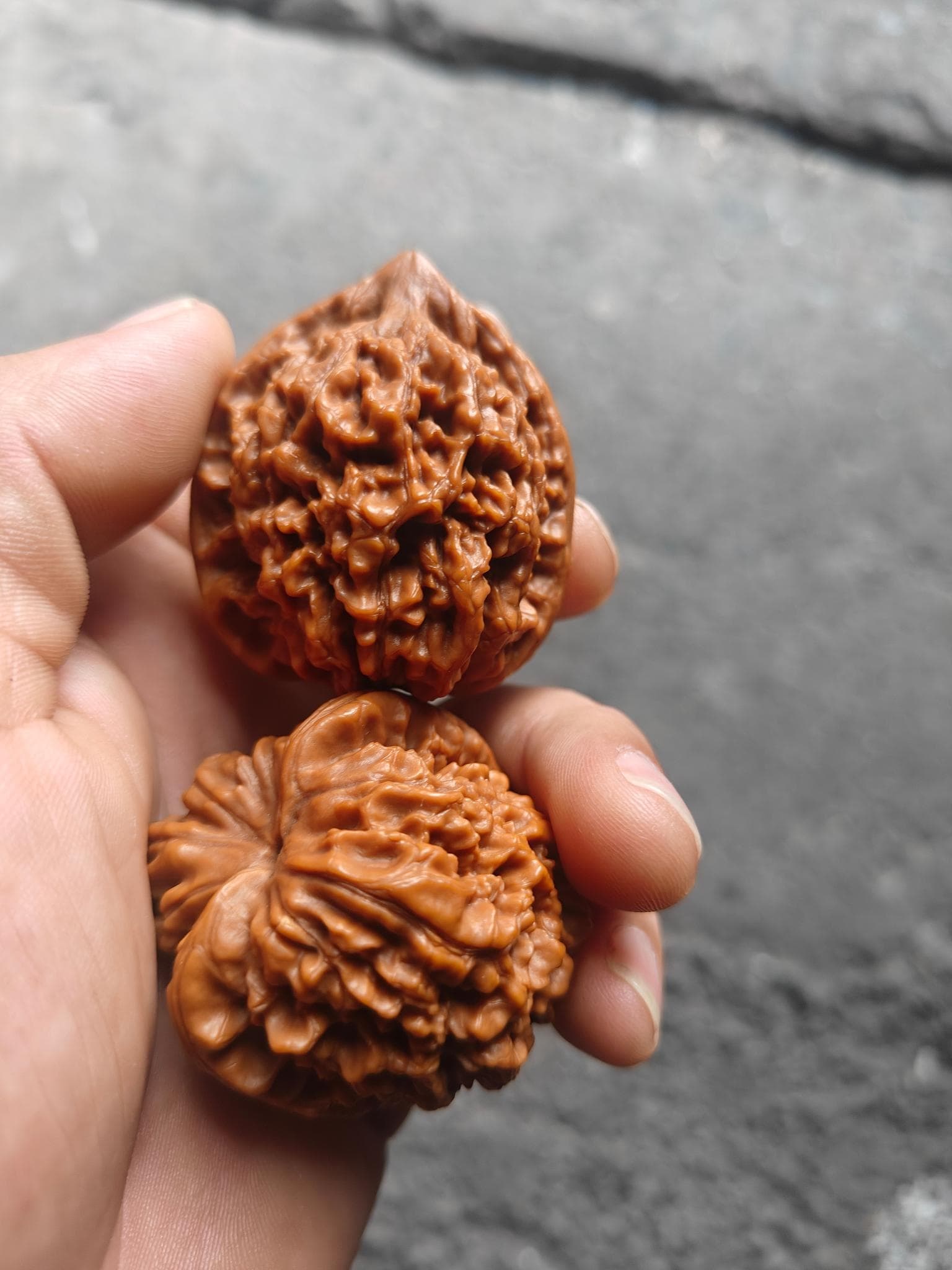 原文件标记为官帽的核桃返图,手持两枚核桃的纵向实拍,可见底部与正面状态