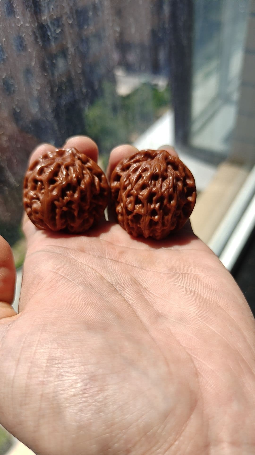 未标注品种的核友返图,手持两枚核桃的竖幅实拍