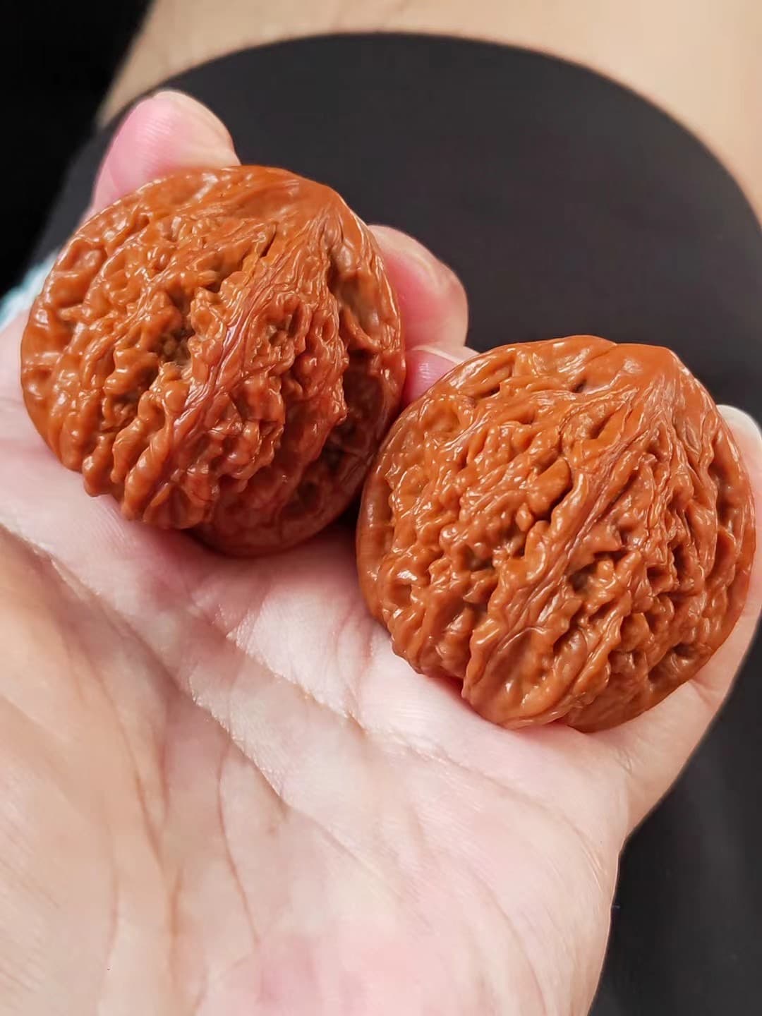 一代望月返图,手持两枚核桃的近景实拍,可见自然色泽与成对状态